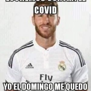 Meet your Posher, Noel